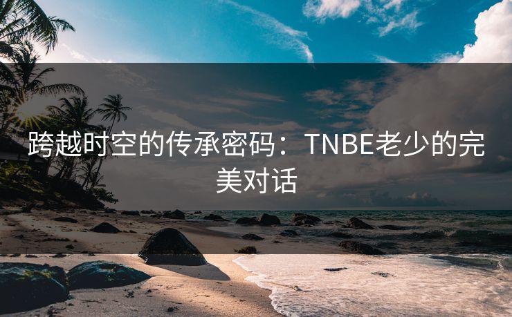 跨越时空的传承密码：TNBE老少的完美对话